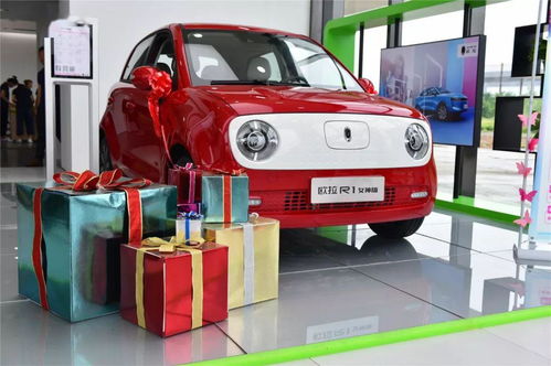 科達(dá)新能源汽車公司圓滿完成安徽泰能新能源產(chǎn)品下線儀式接待工作