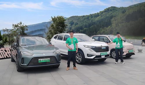 安步汽車集團 傳統(tǒng)汽車銷售模式陷入生存疑云,如何面對